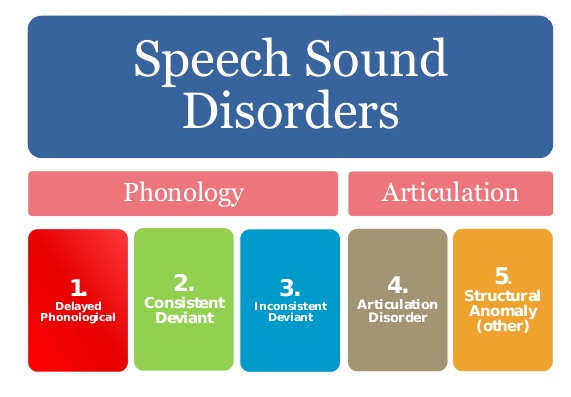 Speech Sound Disorder